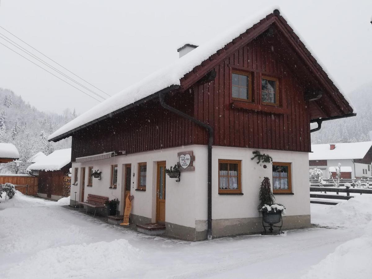 Apartment Natur Herz Haus im Ennstal Eksteriør bilde